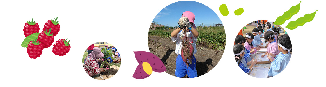 食育について。2.たのしく