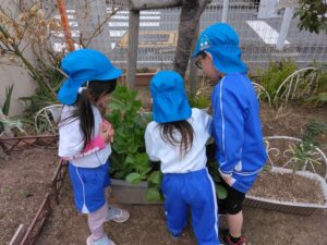 画像:2月26日(水)4歳児クラスの様子☆