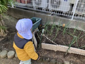 画像:2月13日(金)0.1歳児クラスの様子☆
