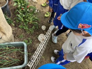 画像:2月27日(金)4,5歳児クラスと一時預かり説明会☆