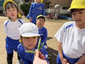 画像:3月24日(火)☆5歳児クラスの様子☆
