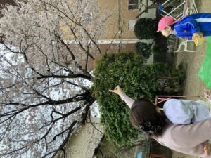 画像:4月4日(土)☆土曜日の様子☆